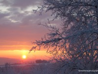 Snowy-SUnrise-(1),-Letterkenny,-Co-Donegal-IMG_1420F