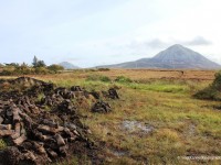 Turf-at-foot-of-Errigal-Mountain,-Co-Donegal-IMG_8472F